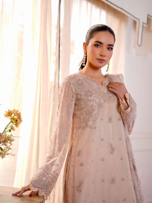 Hand-Embroidered Pakistani Suit Embroidered Georgette Pakistani Suit
