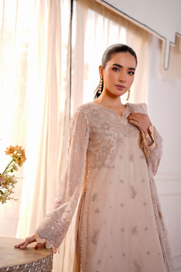Hand-Embroidered Pakistani Suit Embroidered Georgette Pakistani Suit